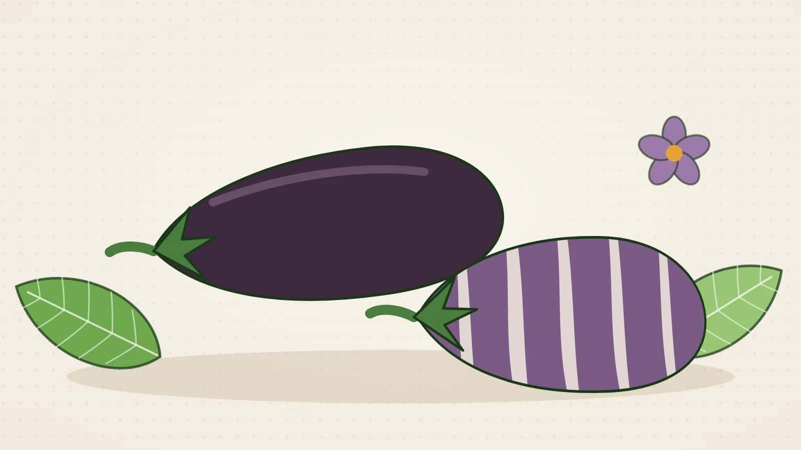 Ilustración de una berenjena negra alargada y otra listada, morada con franjas claras