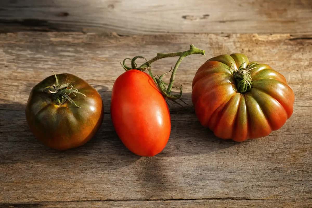 Tres tomates sobre una tabla de madera: uno oscuro tipo kumato, uno rojo alargado y uno grande asurcado