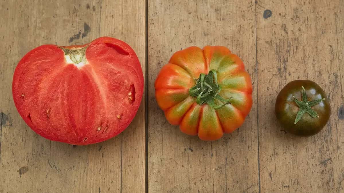 Tres tomates de variedades distintas sobre una mesa de madera, de mayor a menor tamaño