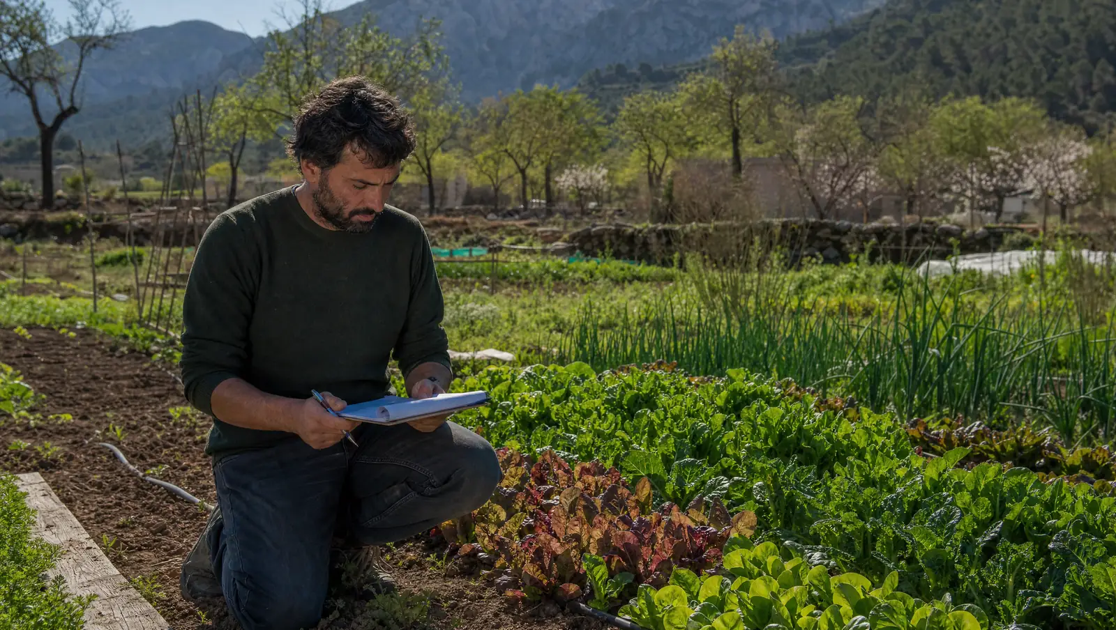 Cómo se planifica un huerto cuando el cliente decide qué cultivar