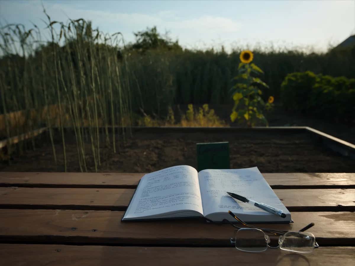 Cuaderno de campo abierto sobre una mesa de madera, frente a un bancal con un girasol