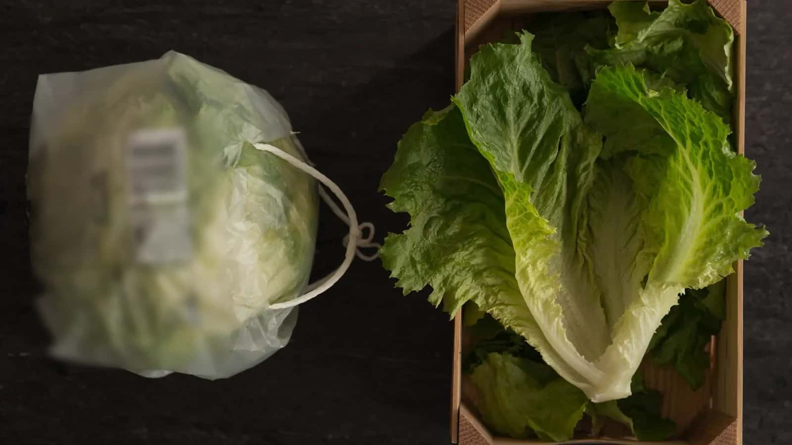 Una lechuga iceberg en bolsa de plástico junto a lechugas romanas sueltas en una caja de madera